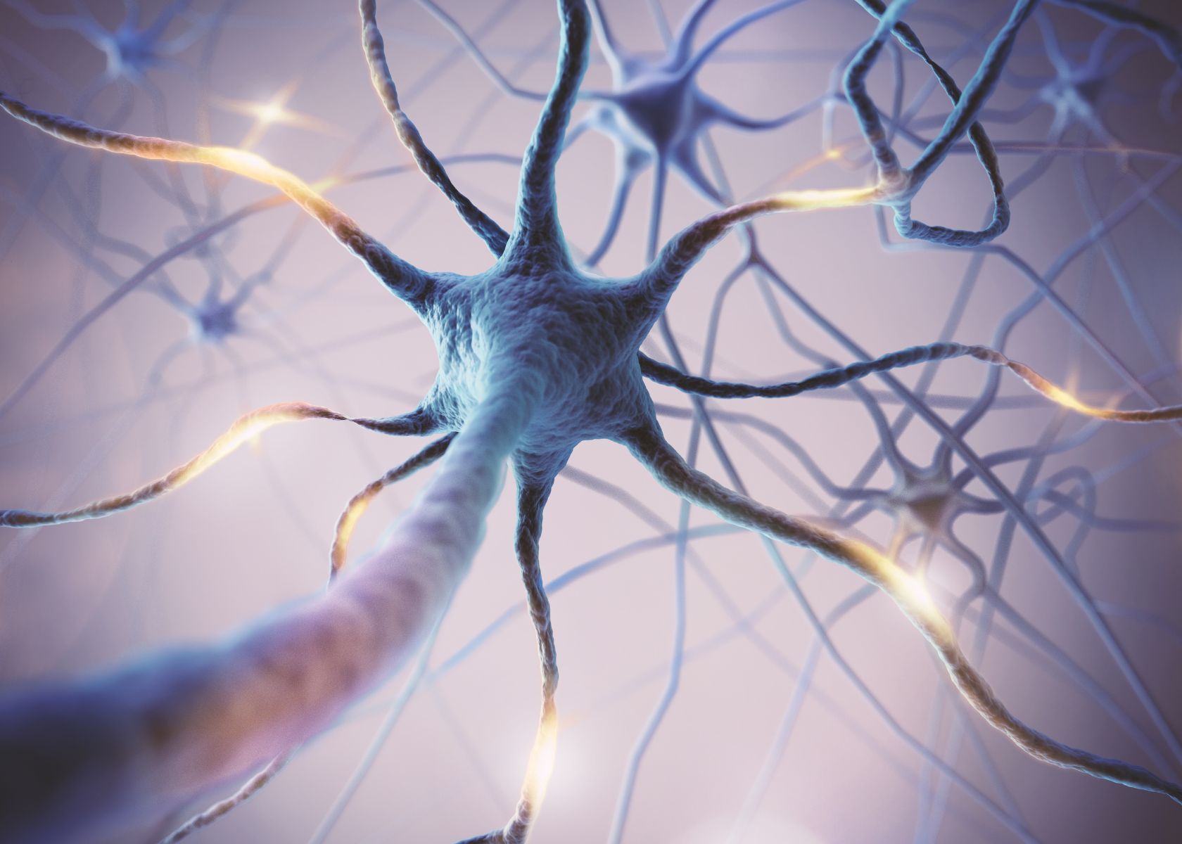 illustration of neurons