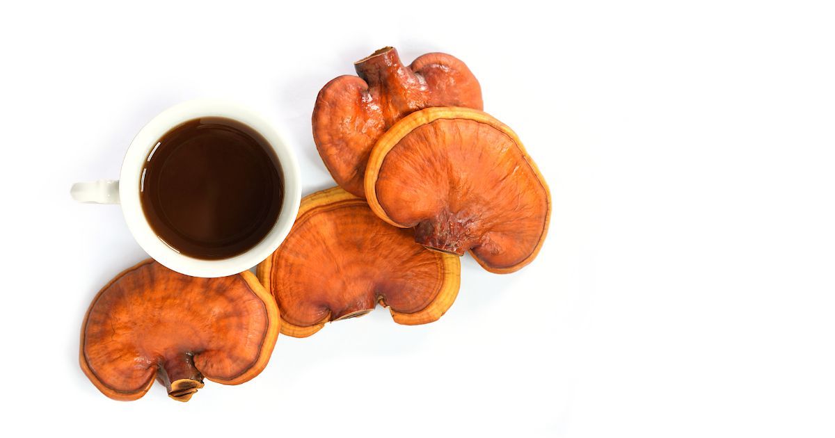 cup of reishi tea with fresh reishi