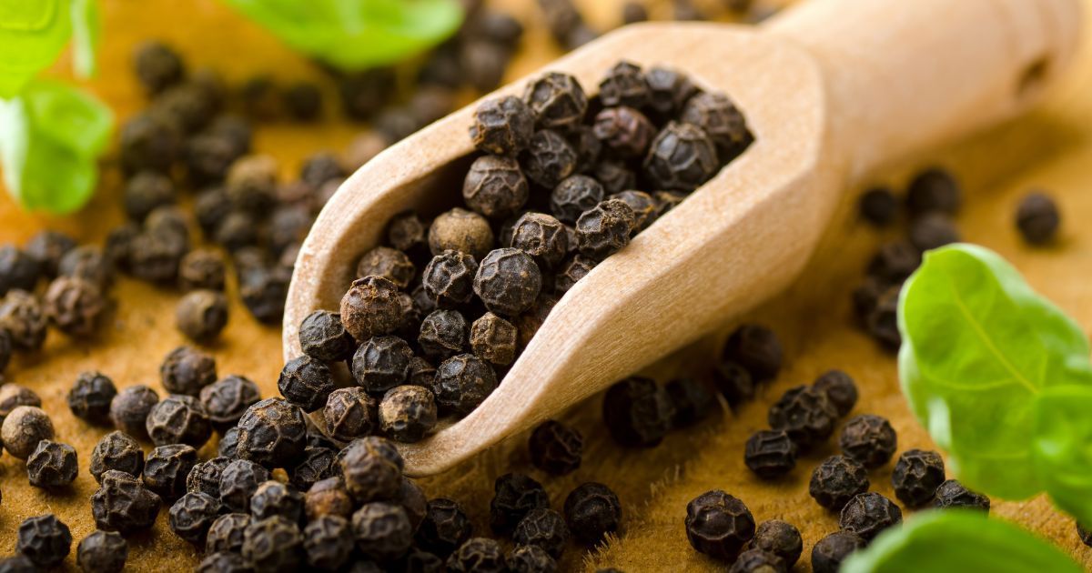 scoop of whole black peppercorns