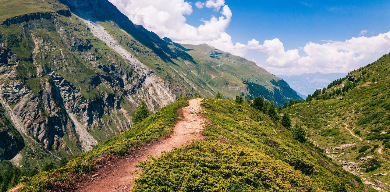 photo of a trail on a green ridge