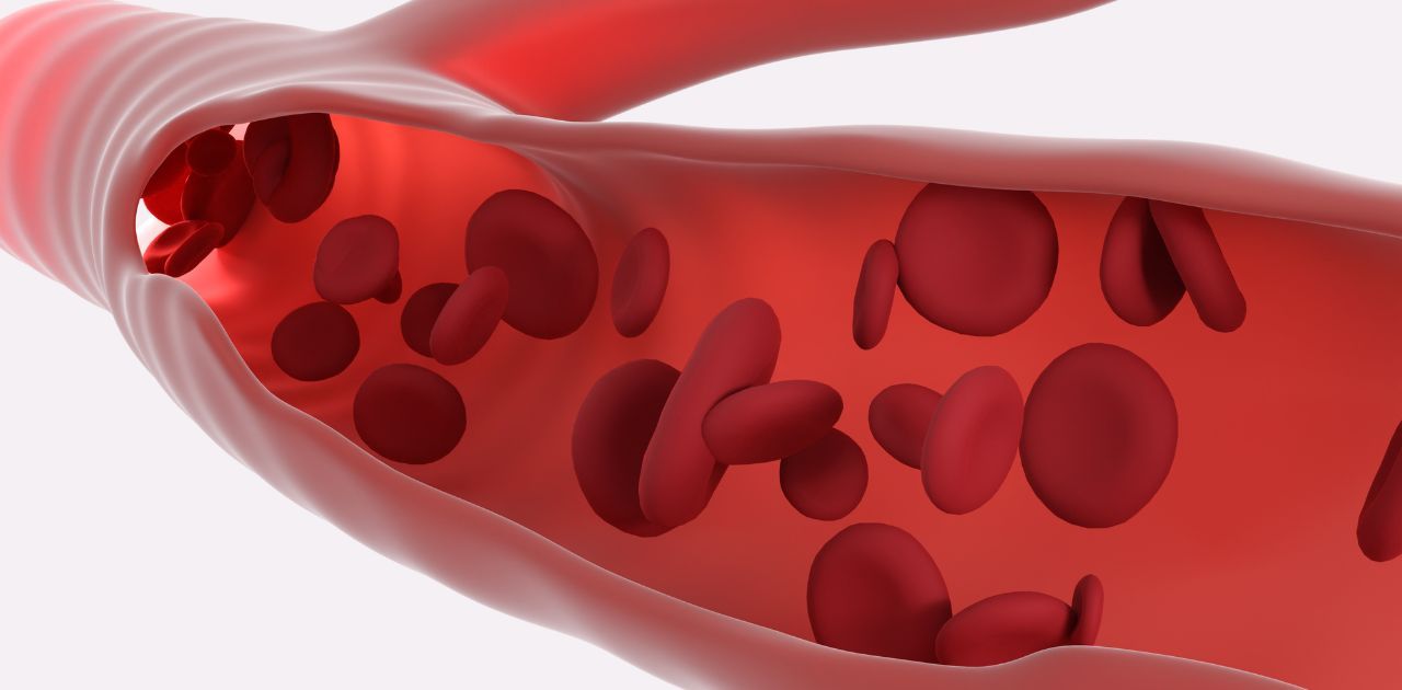 render of blood cells traveling through veins
