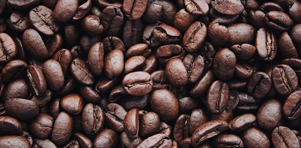 How to Make Coffee While Camping - Storage Tips