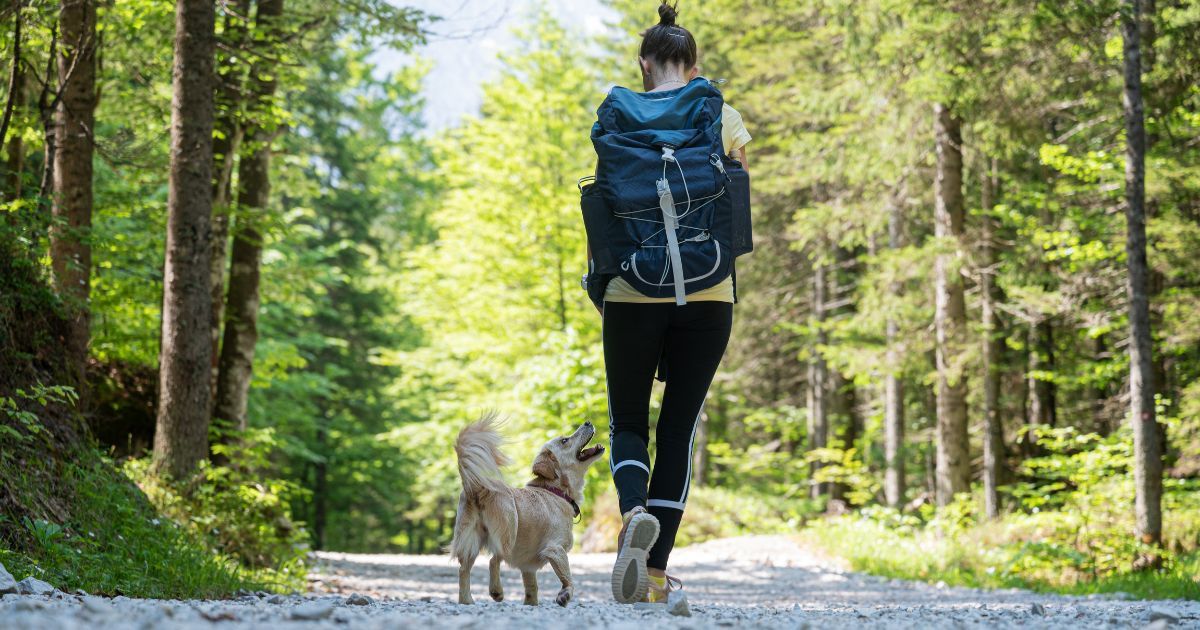 How to camp with a dog