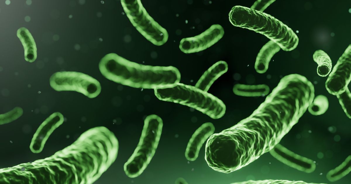 illustration of bacteria