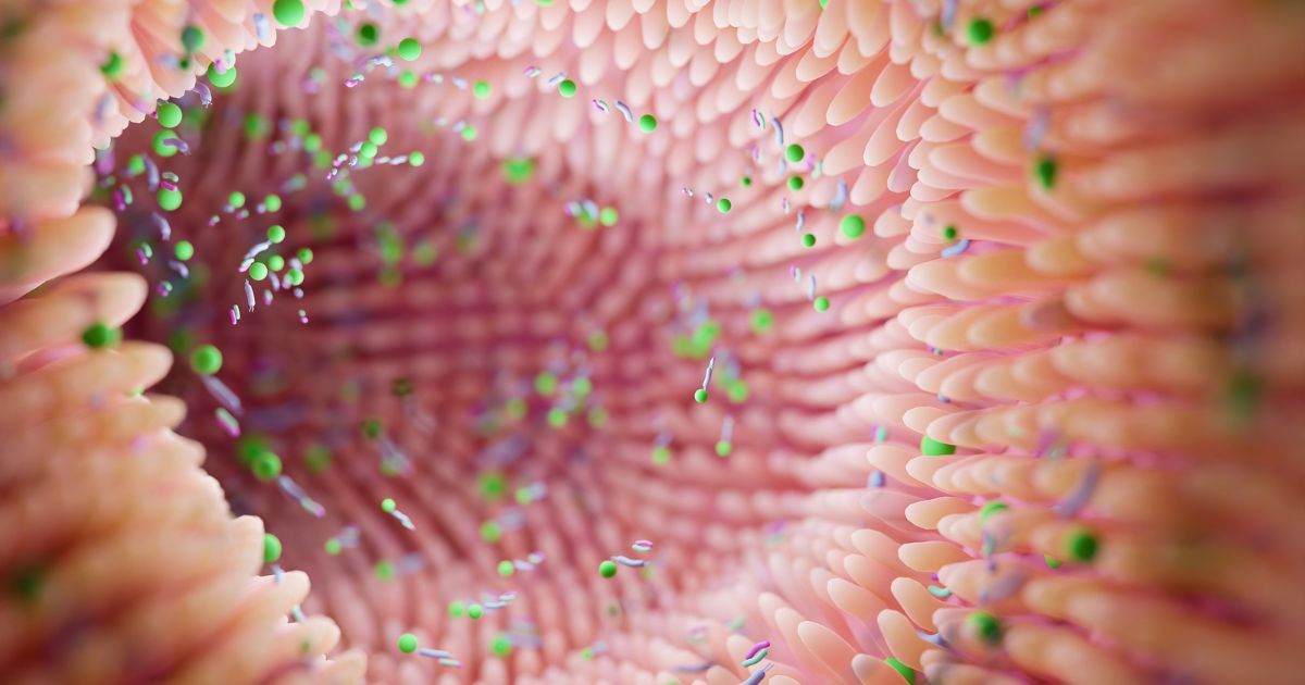 What Are Soil Based Probiotics