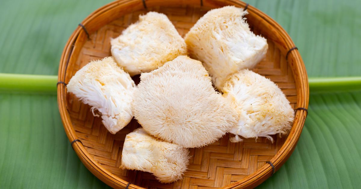 bowl of raw lions mane mushrooms