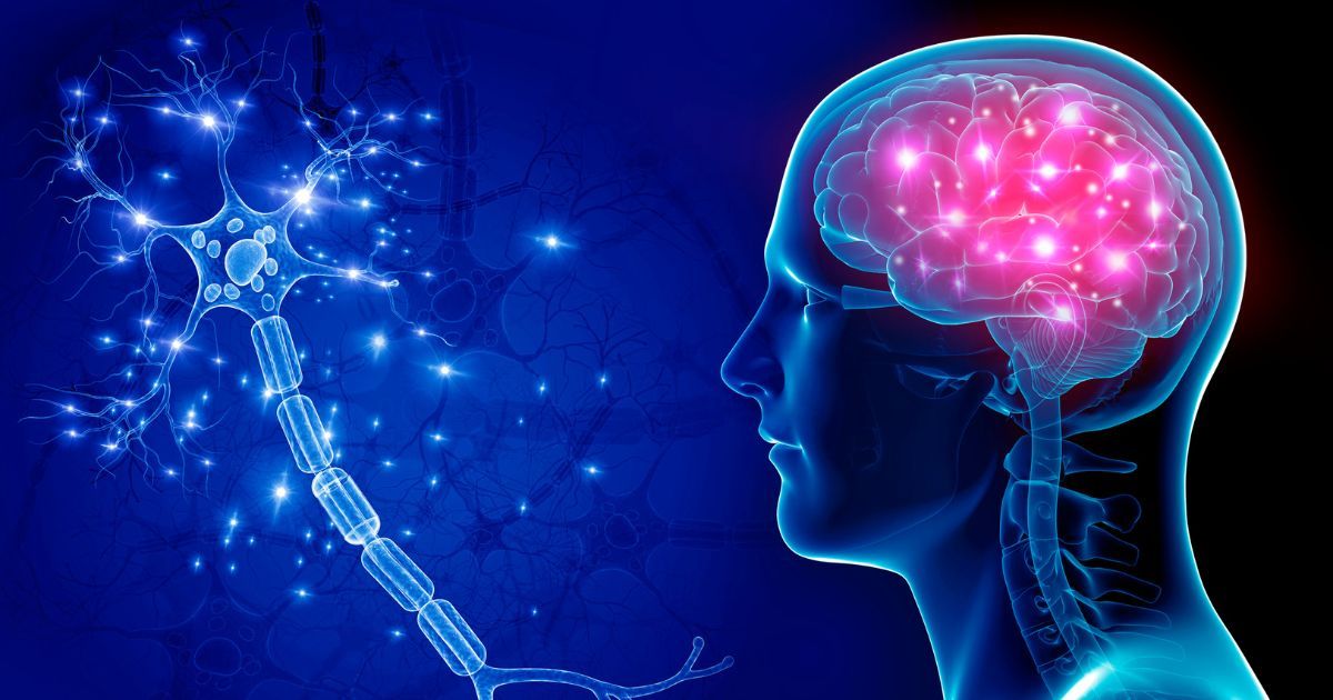 illustration of neurons and brain