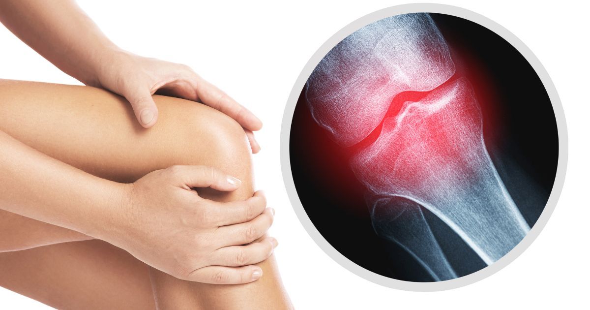 What Is Bone Broth Protein Powder