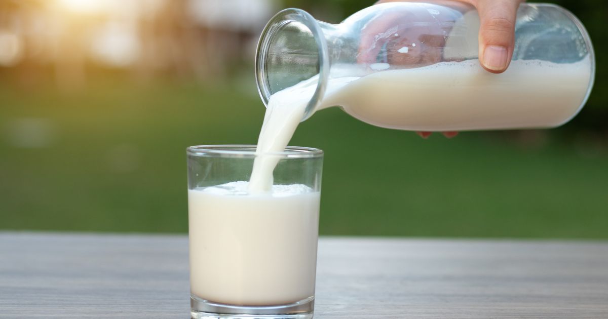 What Is Bone Broth Protein Powder