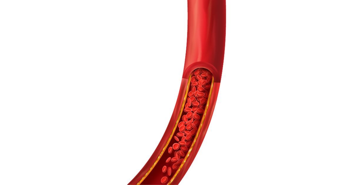 illustration of blood cells traveling through vessels