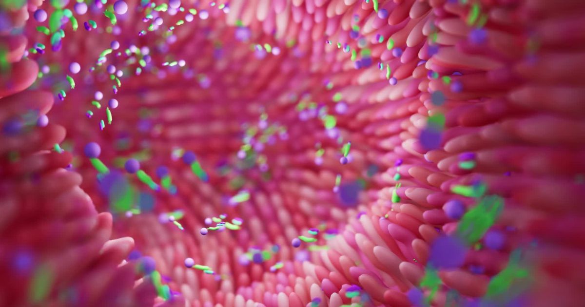 scientific image of gut lining