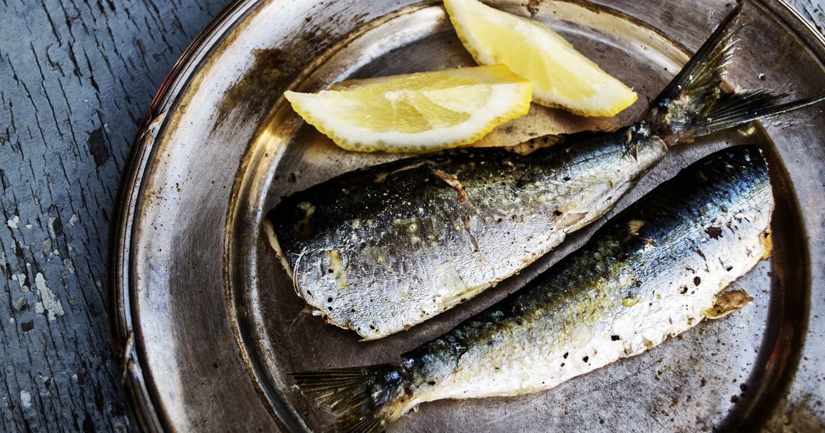 Sardines