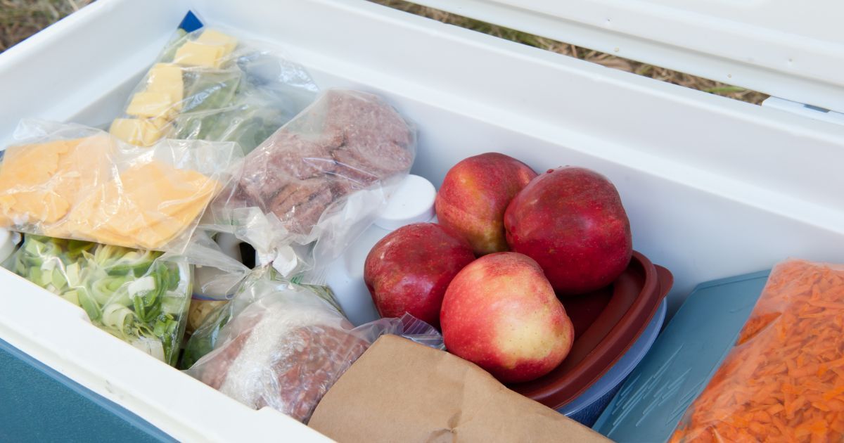 cooler filled with food