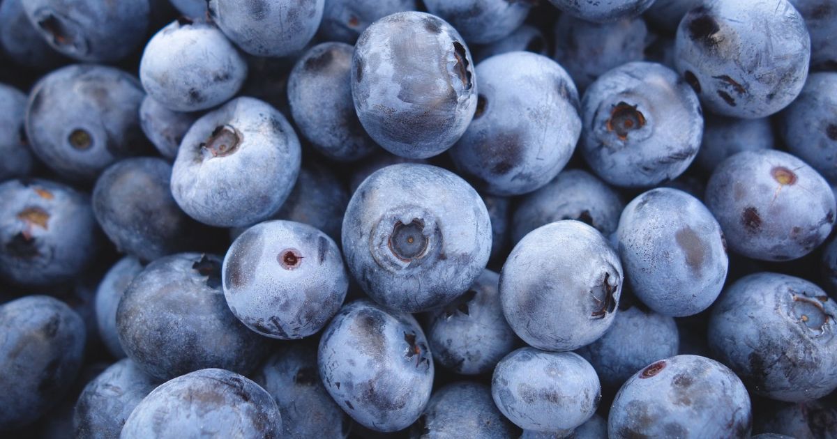 close up of blueberries