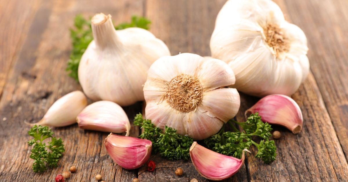 bulbs of garlic