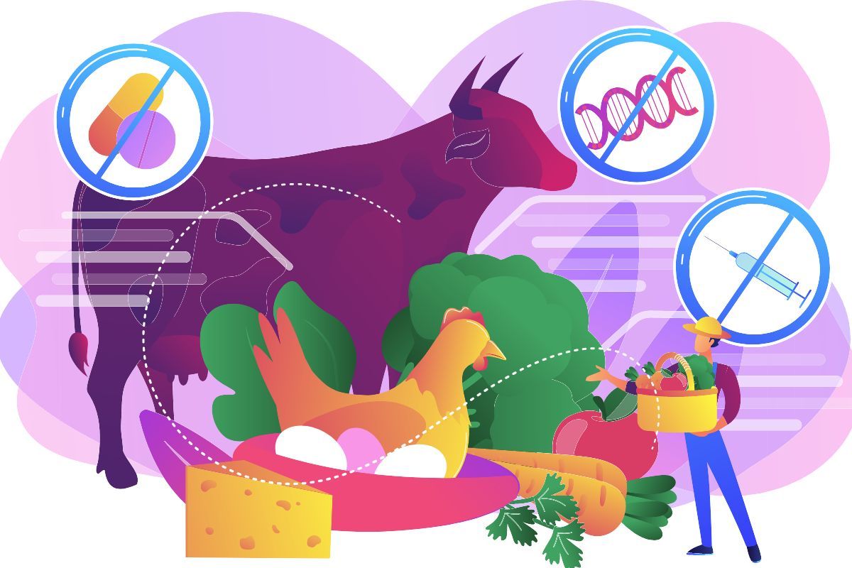 illustration of farmer using high quality ingredients in feed