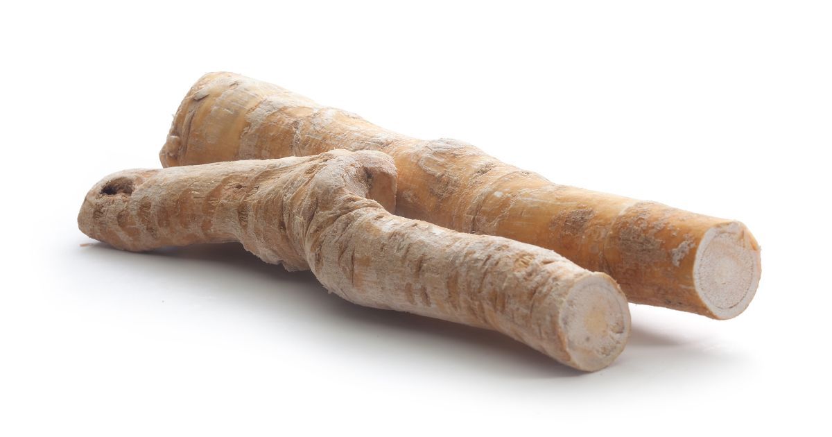 horseradish root