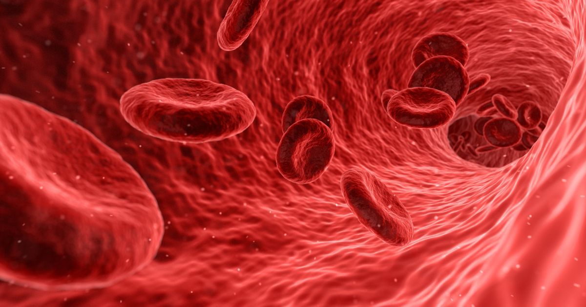 red blood cells traveling through artery