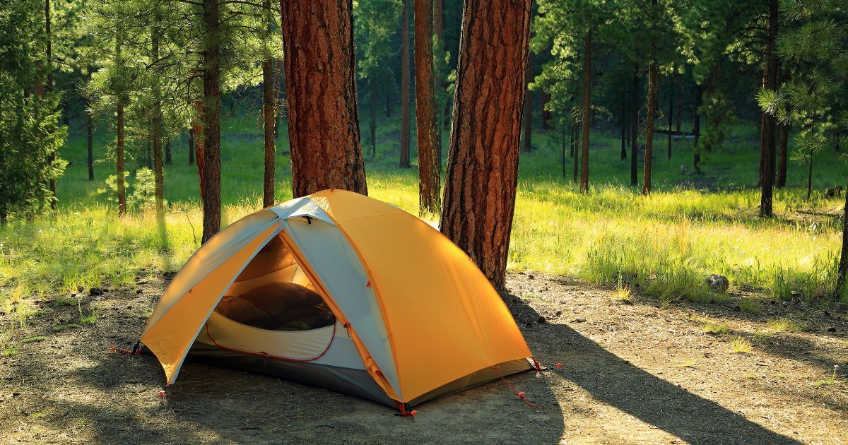 tent setup by shaded trees
