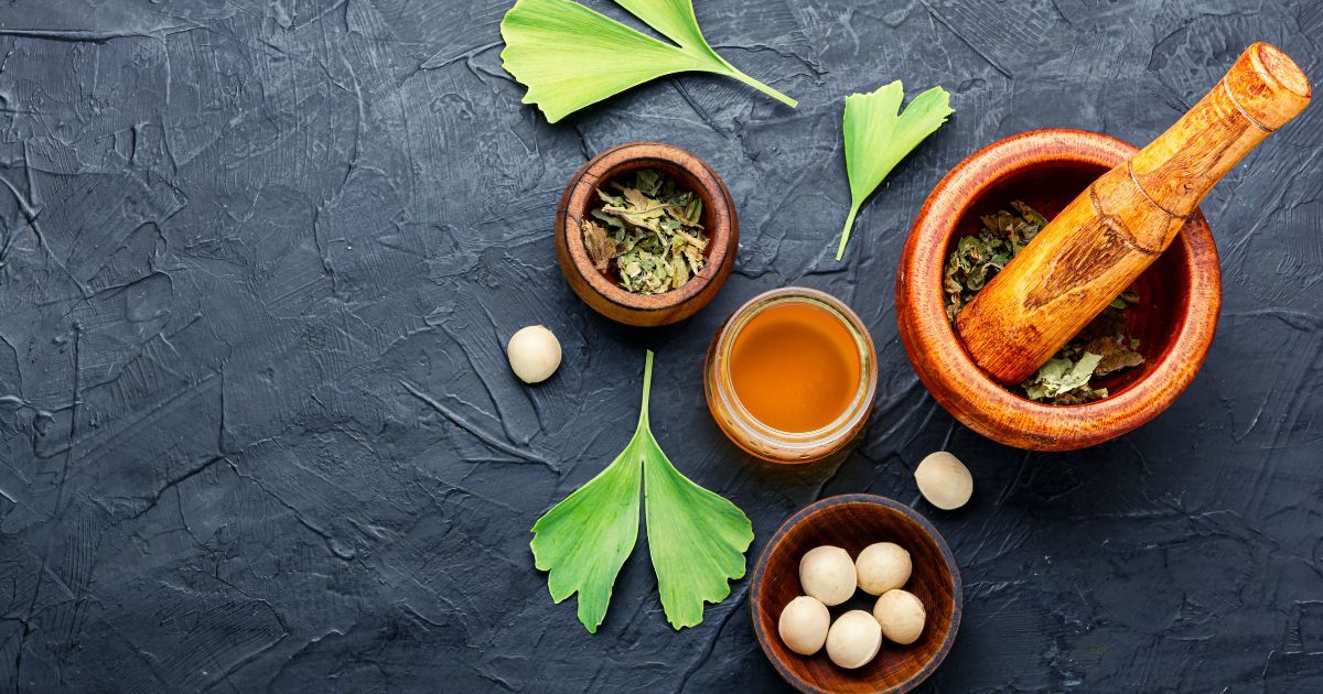 leave and seeds of Ginkgo Biloba