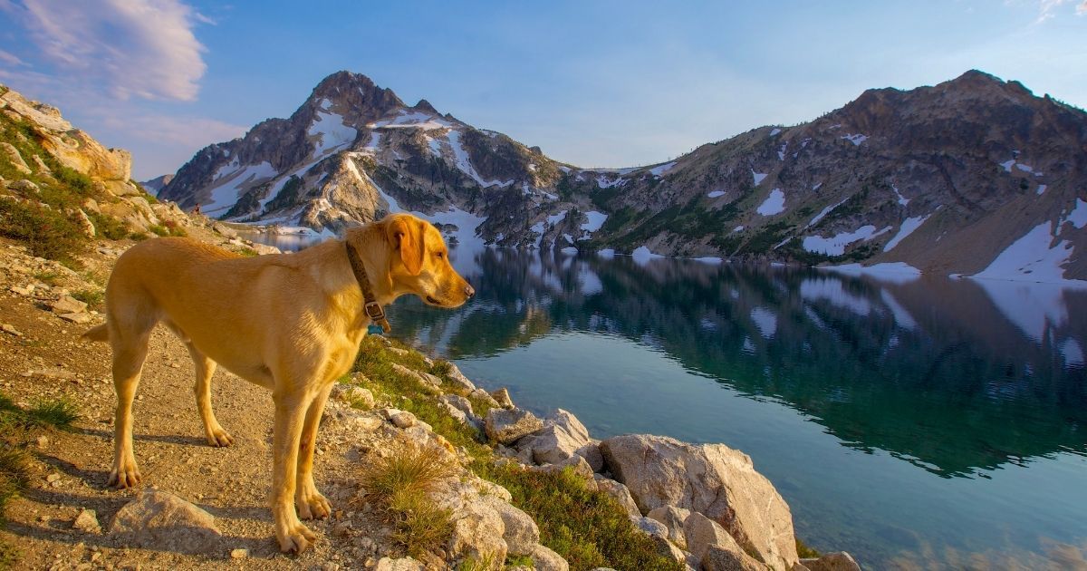 Sawtooth Mountains reflected in Sawtooth Lake in Idaho