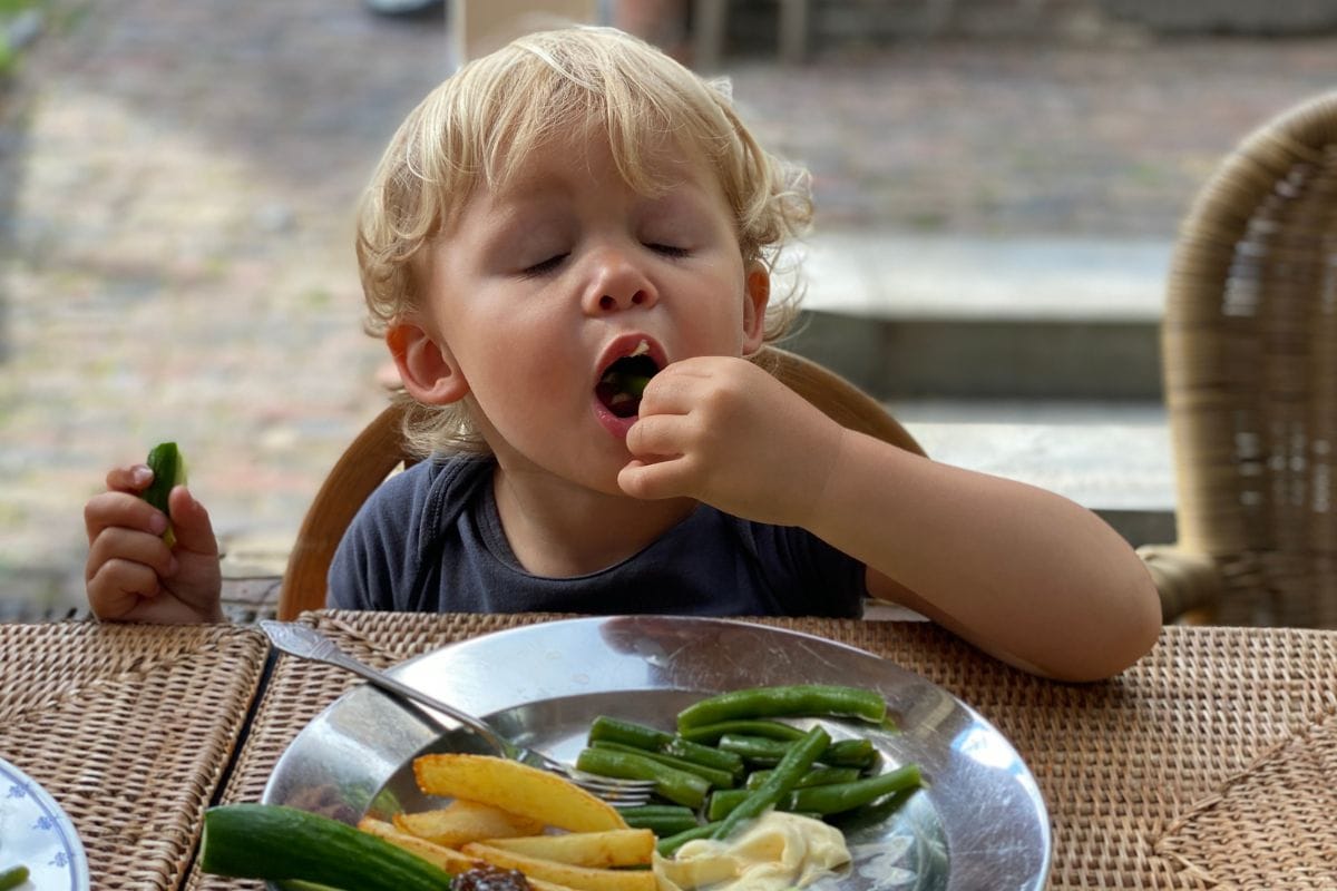toddler eating dinner