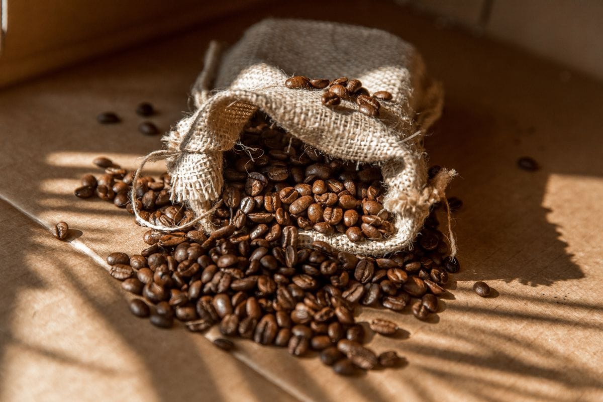 Unleashing the Best Backpacking Coffee Maker of 2024!