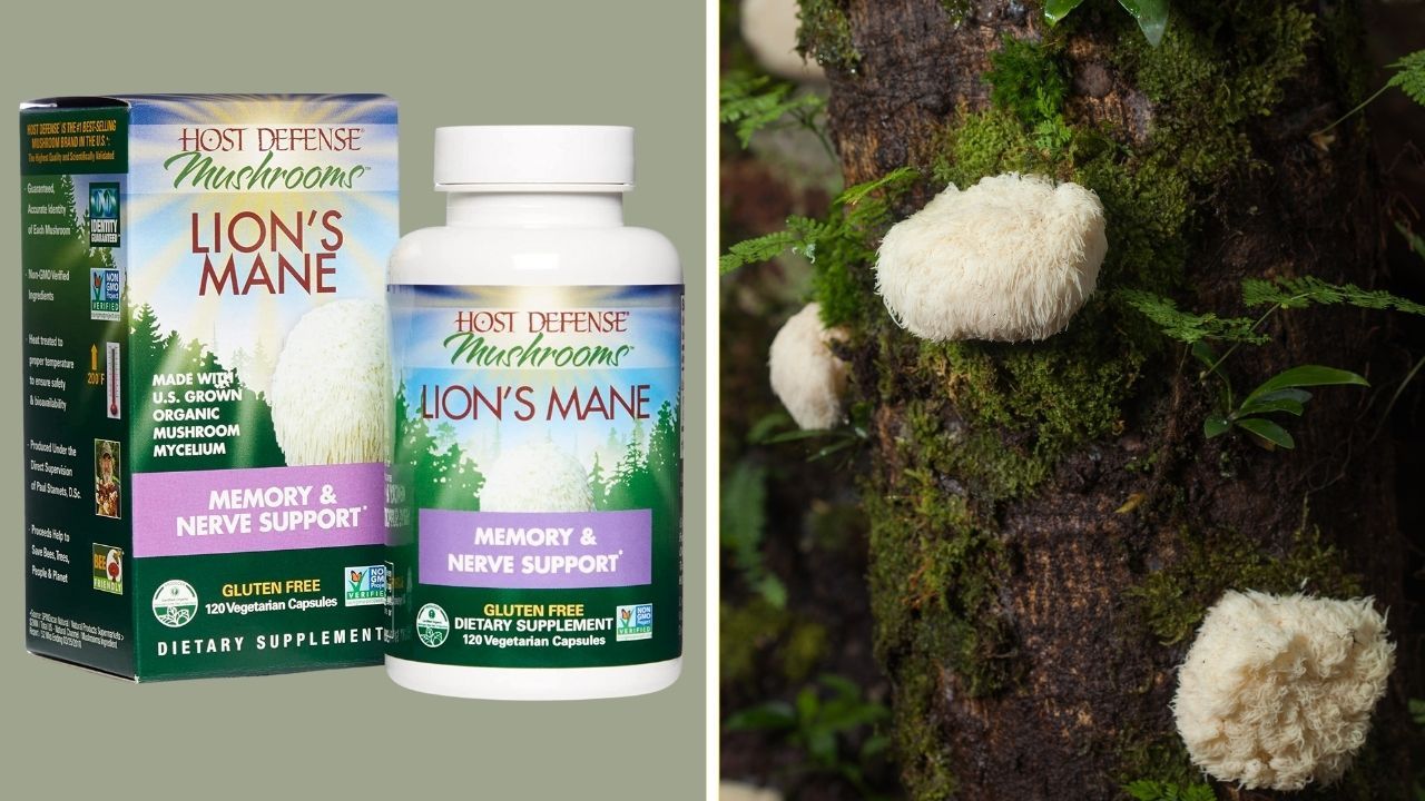 Best Lions Mane Supplement