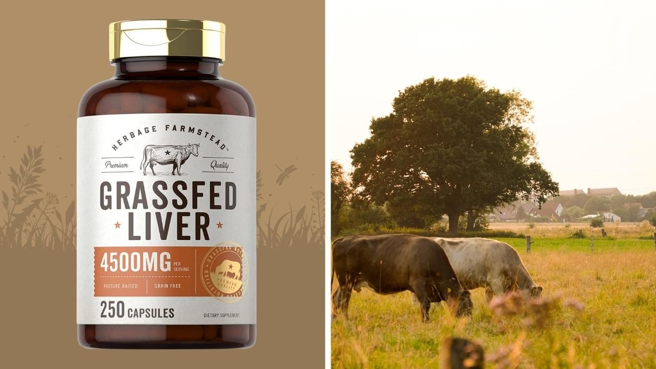 Best Beef Liver Supplements