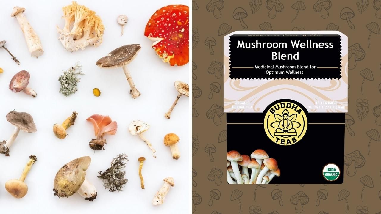 Mushroom Tea