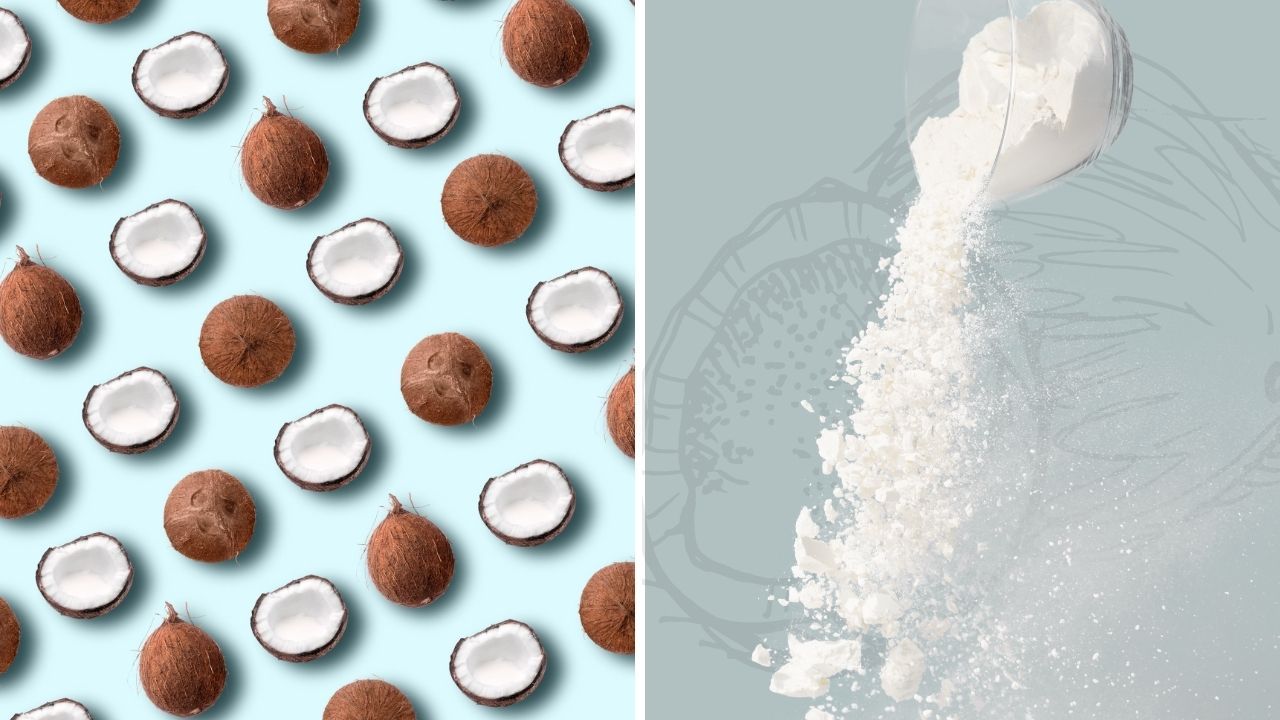 What Is C8 MCT Oil Powder