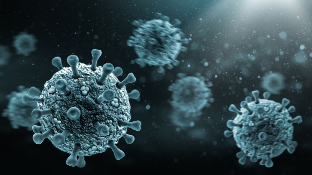 Does Lysine Stop Viral Shedding